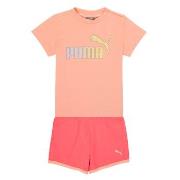 Setjes Puma BB SET ABRI