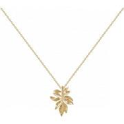 Ketting Phebus Collier Femme