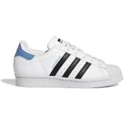 Sneakers adidas Superstar J GY9319
