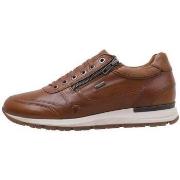 Lage Sneakers Kangaroos 472