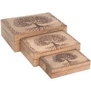 Manden en dozen Signes Grimalt Life Tree Boxes 3 U