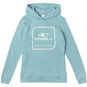 Sweater O'neill -