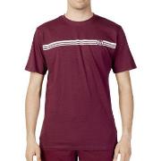 T-shirt Sergio Tacchini -