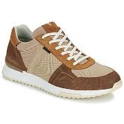 Lage Sneakers Bullboxer DEAN CUP LOW M