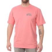 T-shirt Dickies -