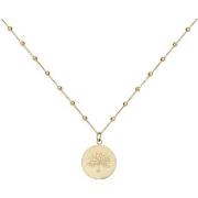 Ketting Phebus Collier Femme