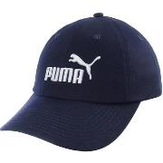 Pet Puma -