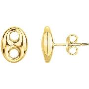 Oorbellen Phebus Boucles d'oreilles Homme