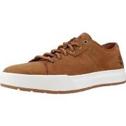 Sneakers Timberland MAPLE GROVE