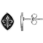 Oorbellen Phebus Boucles d'oreilles Homme