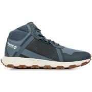 Sneakers Timberland Winsor Trail