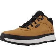 Laarzen Timberland FIELD TREKKER LOW LACE