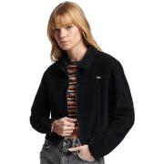 Blazer Superdry Veste courte velours côtelé femme Vintage