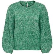 Trui Only ONLHENNI L/S PULLOVER CC KNT - 15259556