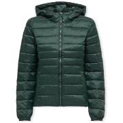 Mantel Only Noos Tahoe Hood Jacket - Scarab