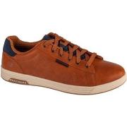 Lage Sneakers Skechers Cavell - Hensley