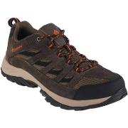 Wandelschoenen Columbia Crestwood