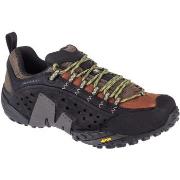 Wandelschoenen Merrell Intercept