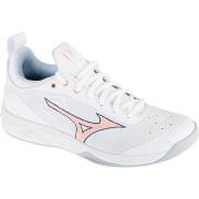 Fitness Schoenen Mizuno Wave Luminous 2