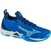 Fitness Schoenen Mizuno Wave Momentum 3