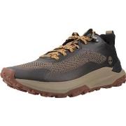 Sneakers Timberland MOTION ACCESS