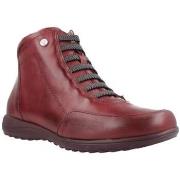 Laarzen Pitillos BOTTINES 118