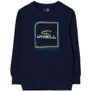 Sweater O'neill -