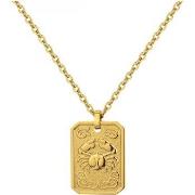 Ketting Phebus Collier Homme