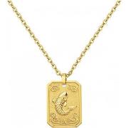 Ketting Phebus Collier Homme