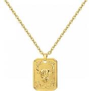 Ketting Phebus Collier Homme