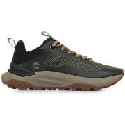 Sneakers Timberland Motion Access Low Lace Sneaker