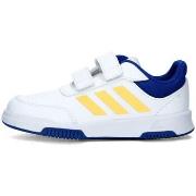 Lage Sneakers adidas IG8801