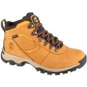 Wandelschoenen Timberland Mt. Maddsen Mid Lthr WP