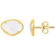 Oorbellen Phebus Boucles d'oreilles Femme