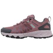 Lage Sneakers Columbia PEAKFREAK II OUTDRY