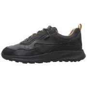 Lage Sneakers Geox U TERRESTRE B ABX C