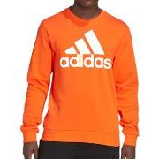 Sweater adidas -