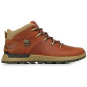 Sneakers Timberland Sprint Trekker Mid Lace Sneaker