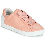 Lage Sneakers Ash NINA