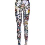 Legging Dsquared D8N471050