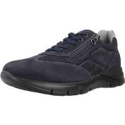 Sneakers NeroGiardini I202501U