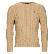 Trui Polo Ralph Lauren SC23-LS DRIVER CN-LONG SLEEVE-SWEATER