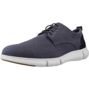 Nette schoenen Geox U ADACTER F A