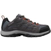 Wandelschoenen Columbia Crestwood Low