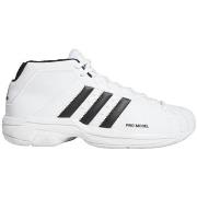 Sneakers adidas Pro Model 2G