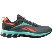 Sneakers Reebok Sport Ridgerider 6 Gtx