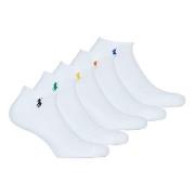 Sportsokken Polo Ralph Lauren LC PP PED 6 PACK