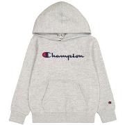 Sweater Champion -