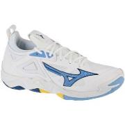 Fitness Schoenen Mizuno Wave Momentum 3