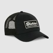 Pet Dickies Lewistown trucker